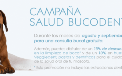 CAMPAÑA DE SALUD BUCODENTAL