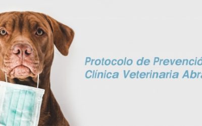 REAPERTURA DE NUESTRA CLÍNICA EN AVENIDA DE ABRANTES Y NUEVOS HORARIOS