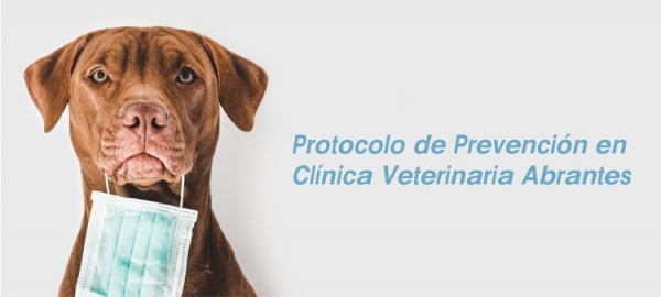 REAPERTURA DE NUESTRA CLÍNICA EN AVENIDA DE ABRANTES Y NUEVOS HORARIOS