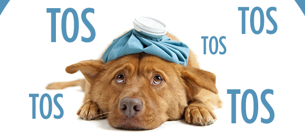 CAMPAÑA DE VACUNACIÓN DE LA GRIPE CANINA