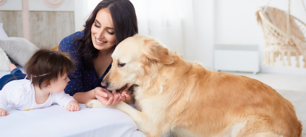 CUIDADOS BÁSICOS PARA TU MASCOTA. LA IMPORTANCIA DE LA TENENCIA RESPONSABLE