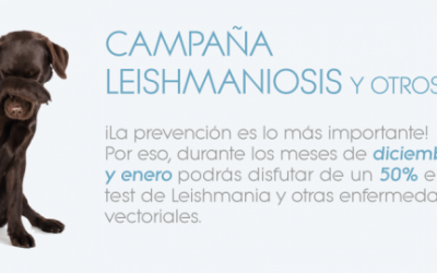 CAMPAÑA CONTRA LA LEISHMANIOSIS Y OTROS VECTORES
