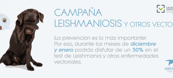 CAMPAÑA CONTRA LA LEISHMANIOSIS Y OTROS VECTORES