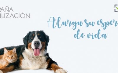 CAMPAÑA DE ESTERILIZACIÓN PREVENTIVA