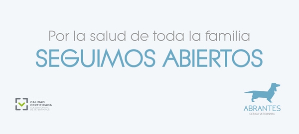 EN CLÍNICA VETERINARIA ABRANTES CONTINUAREMOS ATENDIENDO A NUESTROS PACIENTES