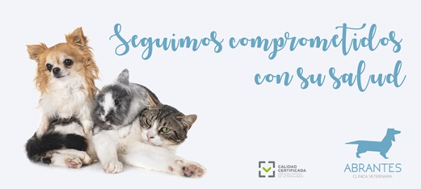 CONTINUAMOS COMPROMETIDOS CON LA SALUD DE TU MASCOTA