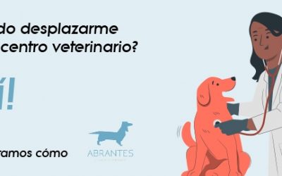 SEGUIMOS ABIERTOS PARA CUIDAR DE LA SALUD DE TU MASCOTA