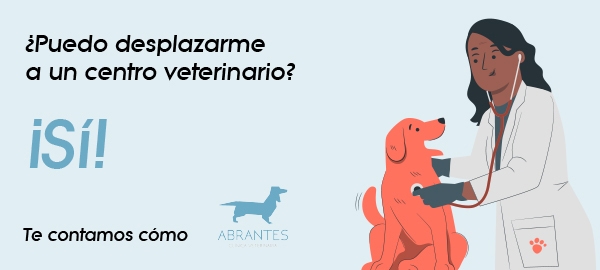 SEGUIMOS ABIERTOS PARA CUIDAR DE LA SALUD DE TU MASCOTA