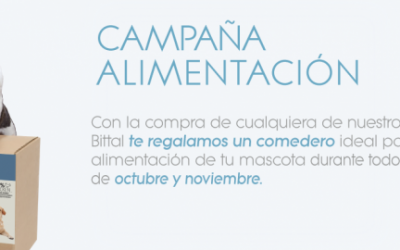 CAMPAÑA DE ALIMENTACIÓN