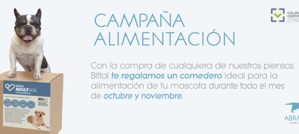 CAMPAÑA DE ALIMENTACIÓN