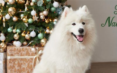 ¡FELIZ NAVIDAD Y PRÓSPERO AÑO NUEVO!