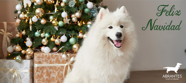 ¡FELIZ NAVIDAD Y PRÓSPERO AÑO NUEVO!