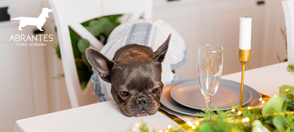 Cuidado con estos alimentos para tu mascota en Navidad