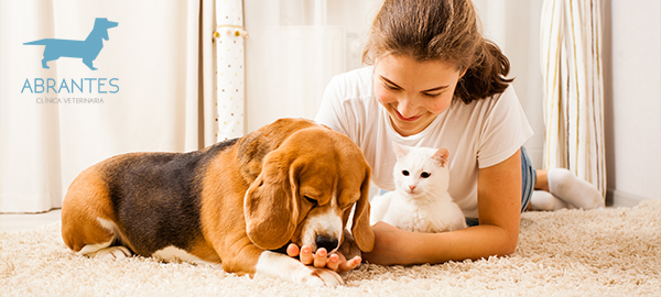 10 consejos para la integración de una nueva mascota en un hogar con otras mascotas